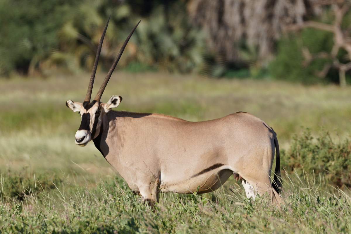 6F6A1142_DxO-P63erXC8FmrFQ0LObWIPlQ