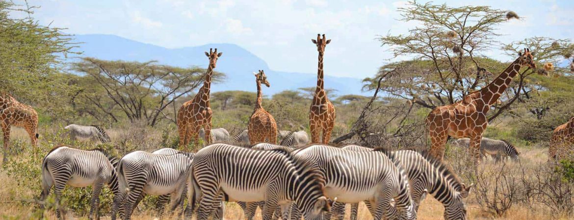 Samburu-National-Park-1170×450-1 (1)