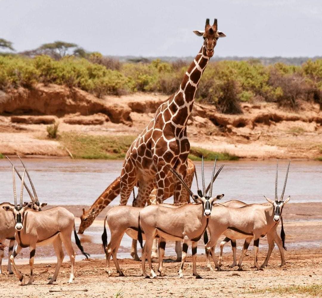 a65ac0b1-0f46-4cae-ae8b-22c2c42a2aa3